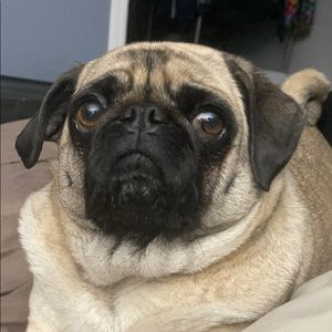 Meet your Posher, Mathew